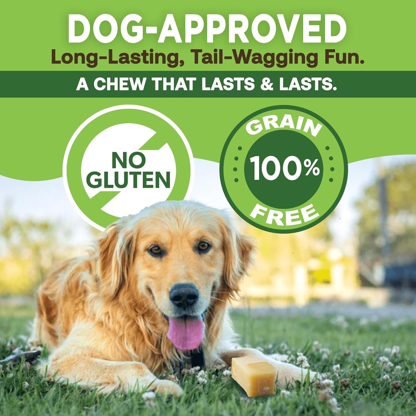 Gold Yak Chews for Large Dogs (1 lb to 5lb Bags)